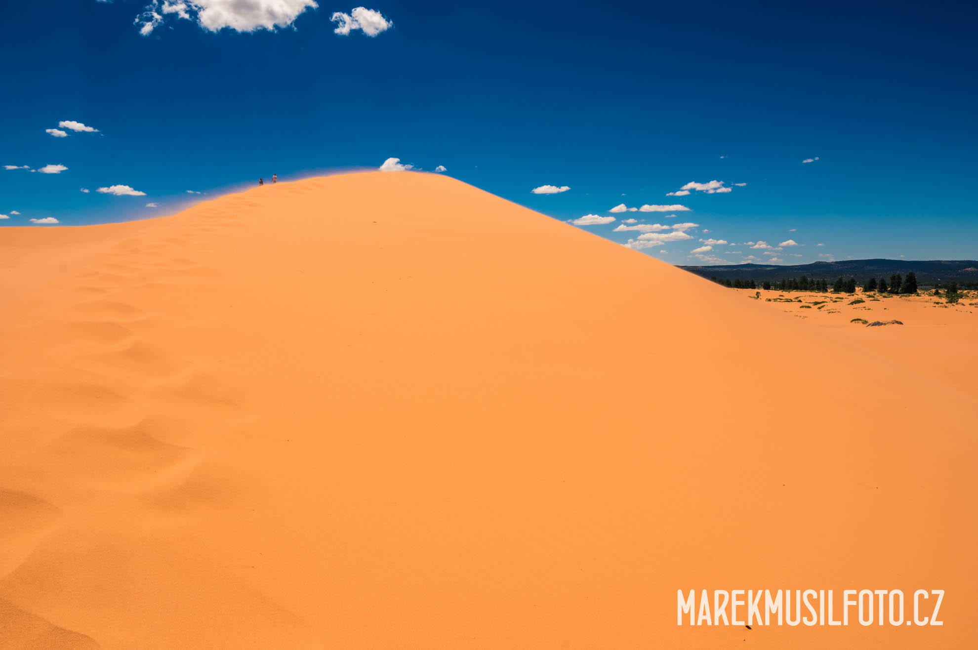 Cesta po USA - Coral Pink Dunes