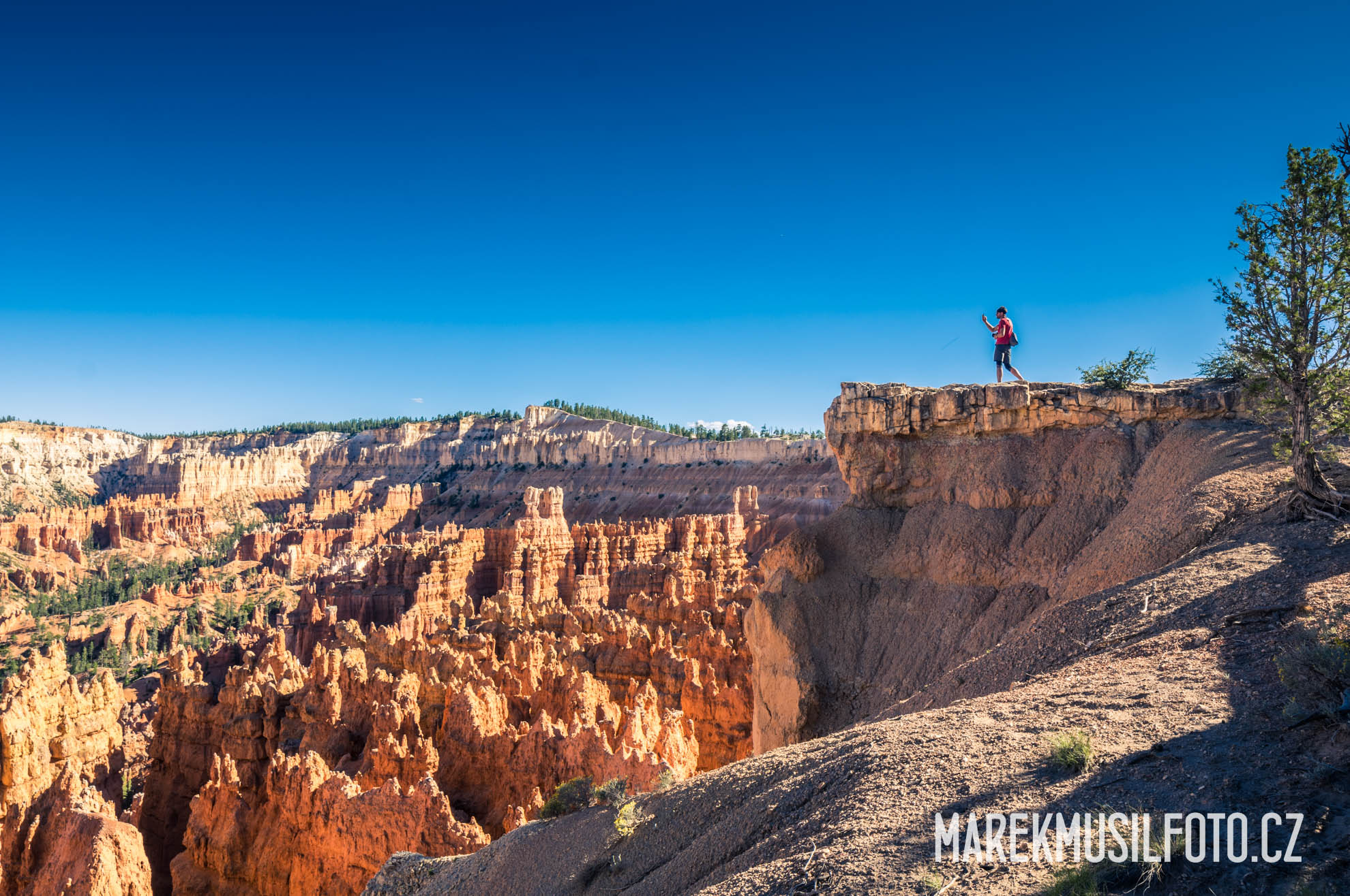 Cesta po USA - Bryce Canyon