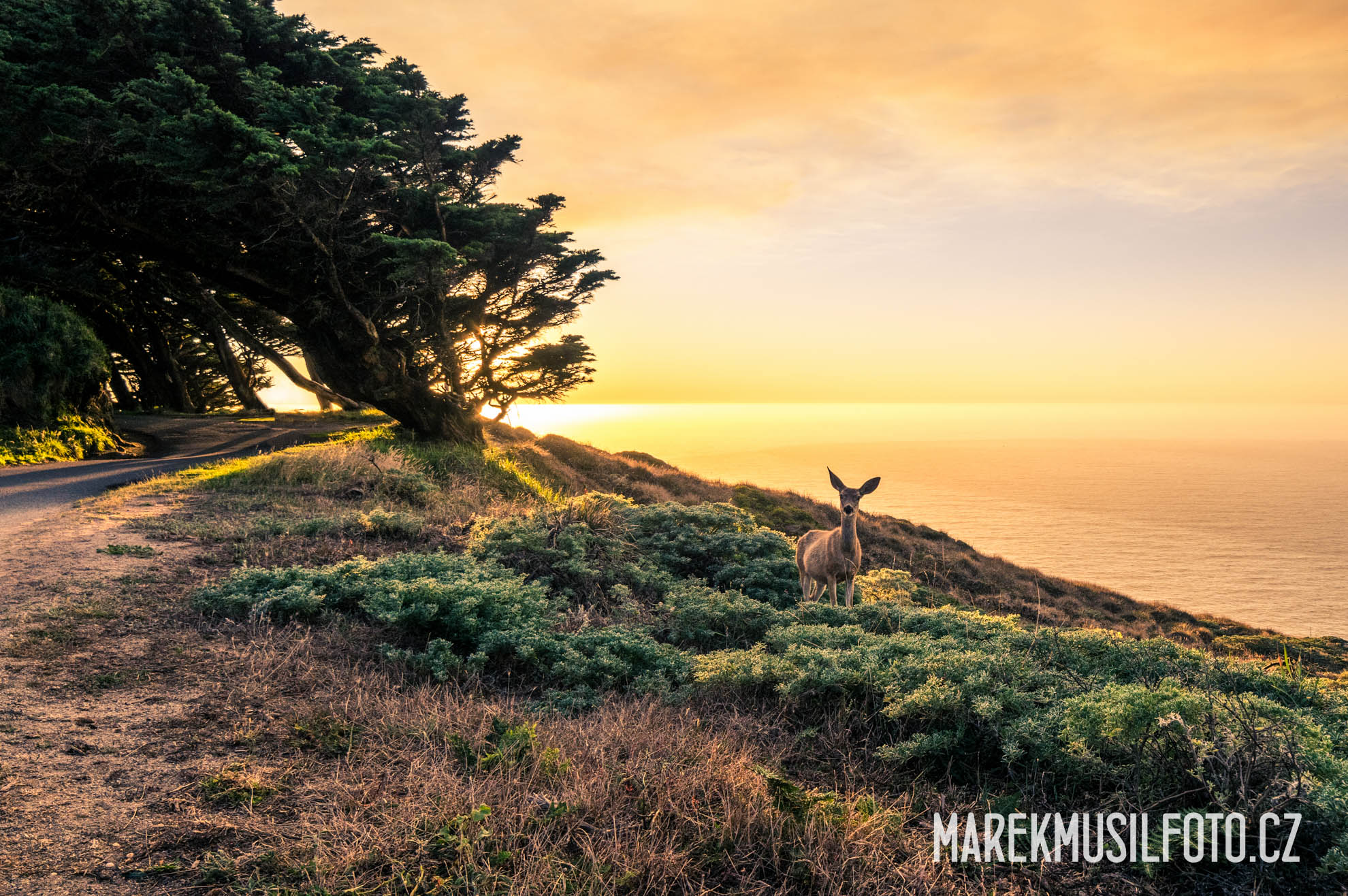 Cesta po USA - San Francisco Point Reyes Lighthouse