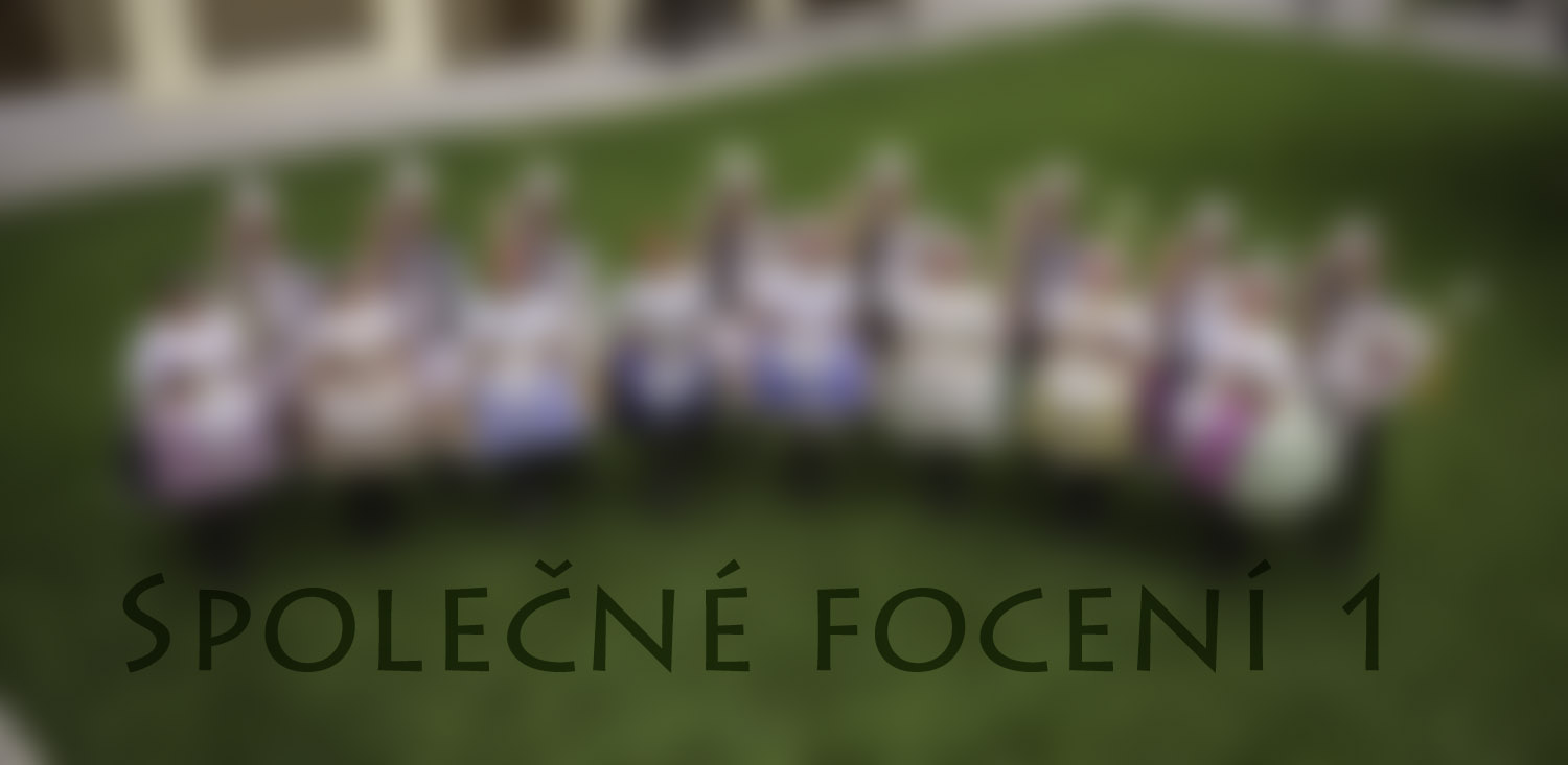 Hody Pavlovice 2013 - společné focení 1