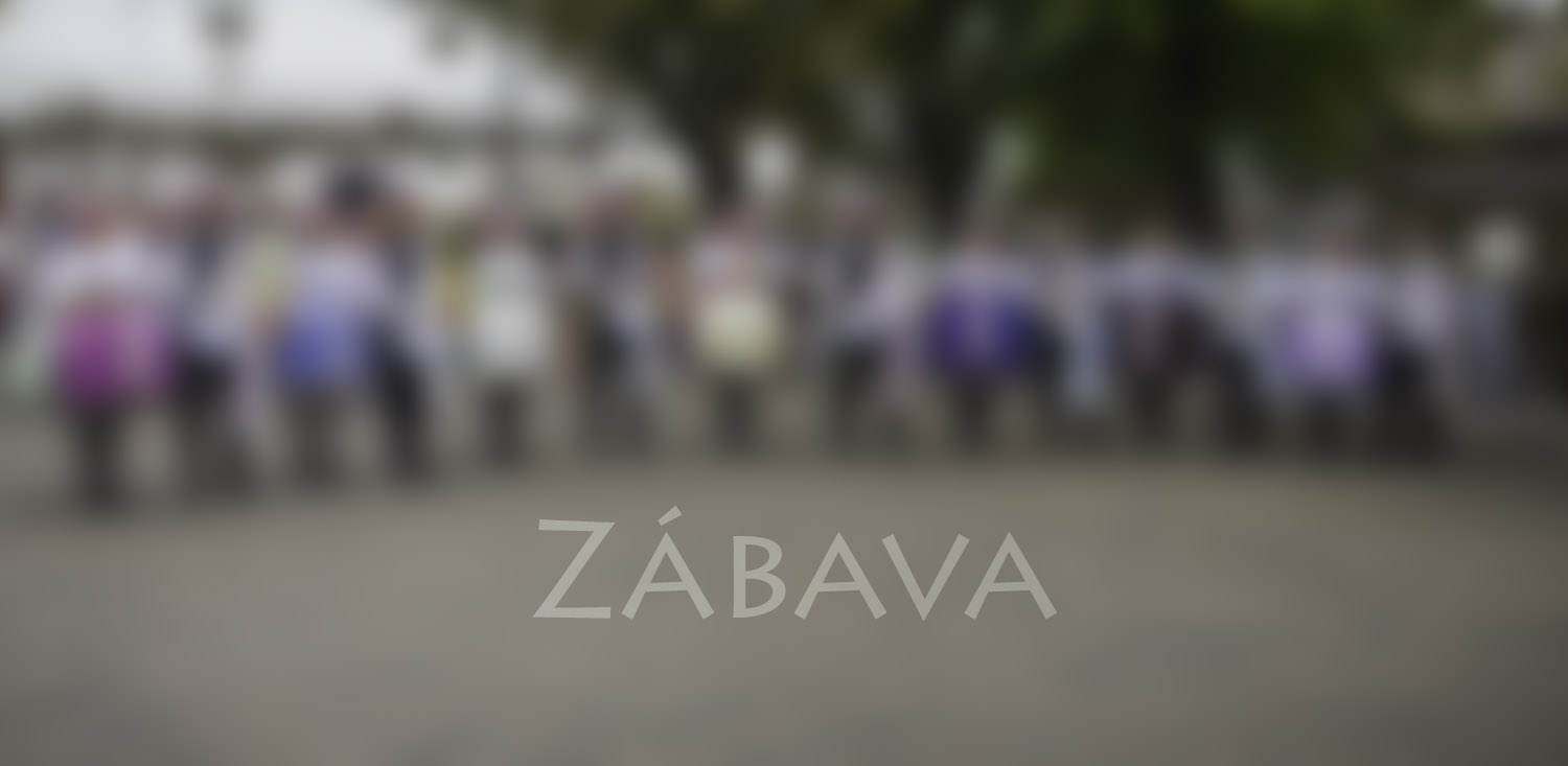 Hody Pavlovice 2013 - zábava