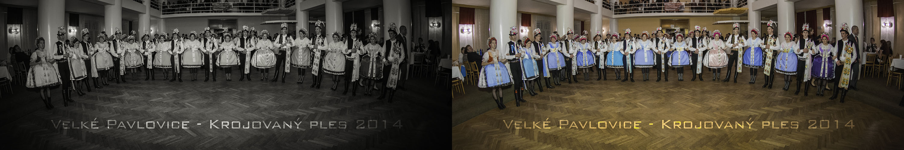 Krojovaný ples Velké Pavlovice 2014
