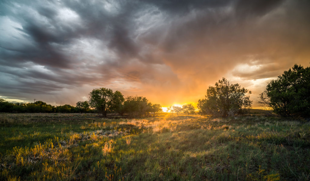 Blog z USA 2016 - Ash Fork