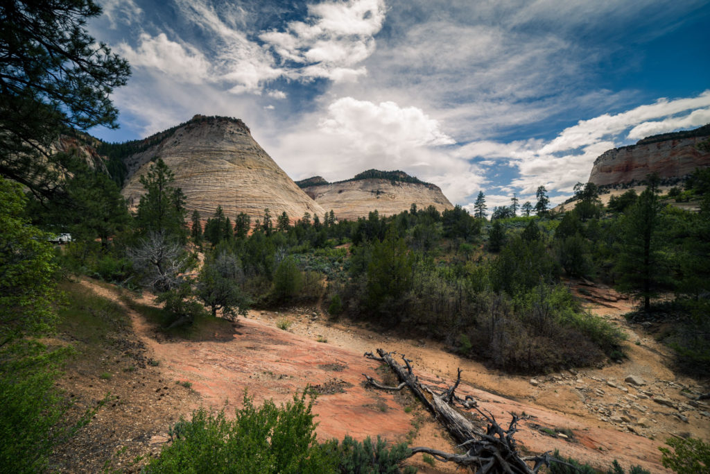 Blog z USA 2016 - Duck Creek Village