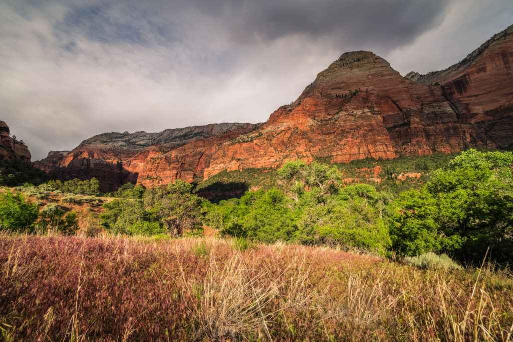 Blog z USA 2016 - Zion National Park