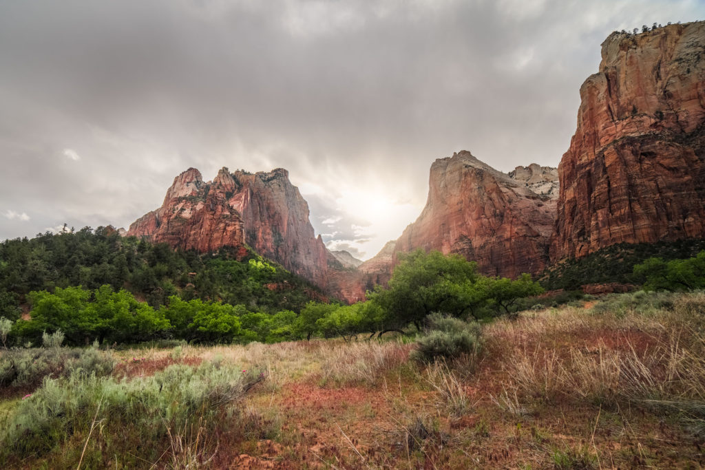 Blog z USA 2016 - Zion National Park