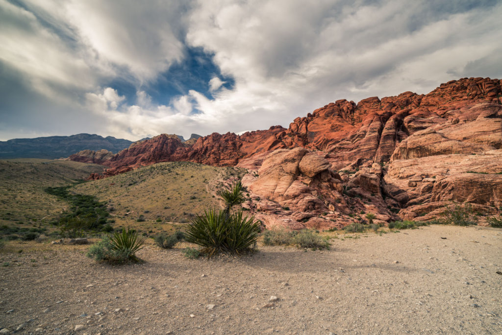 Blog z USA 2016 - Red Rock NP