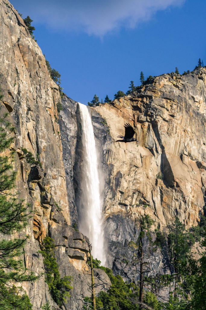 Blog z USA 2016 - Yosemite