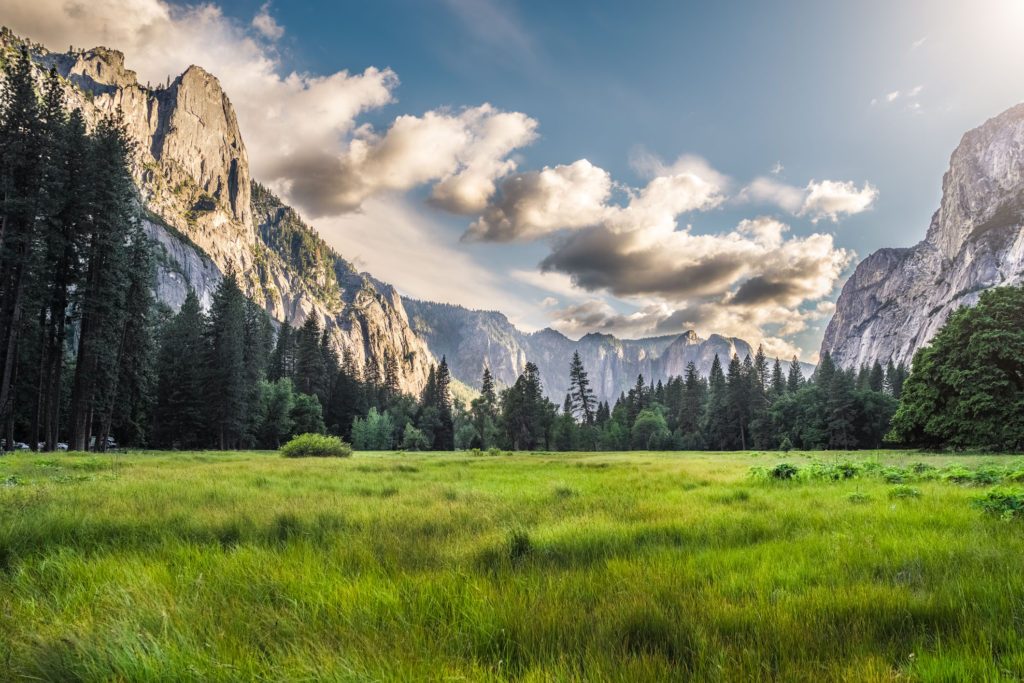 Blog z USA 2016 - Yosemite